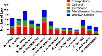 Lipoproteins in Gram-Positive Bacteria: Abundance, Function, Fitness